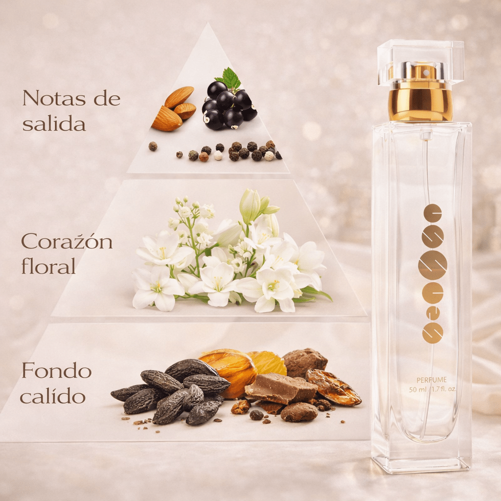 Pirámide olfativa del perfume Essens W151 con notas florales, femeninas y sofisticadas de larga duración.
