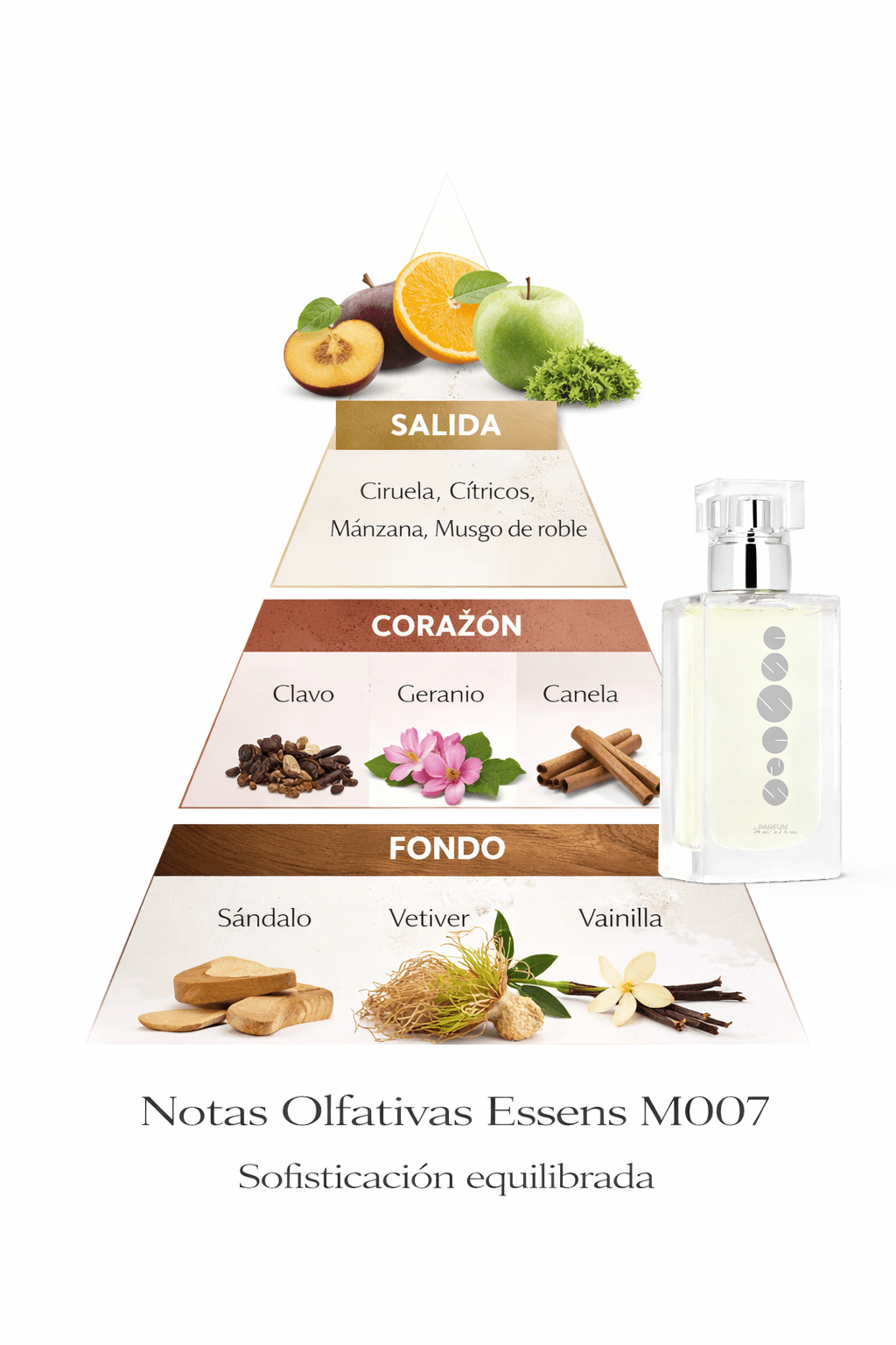 Perfume de hombre Essens M007 | Intenso y Amaderado - VerliGlow